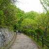 近つ飛鳥博物館の周辺に遊歩道が整備されていて
