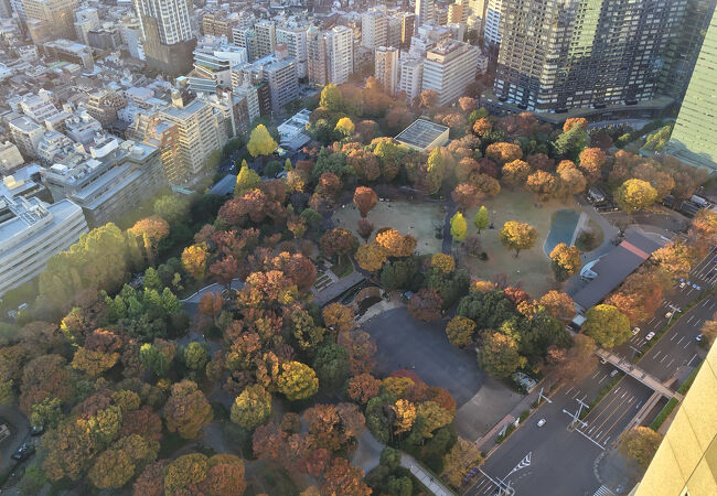新宿中央公園