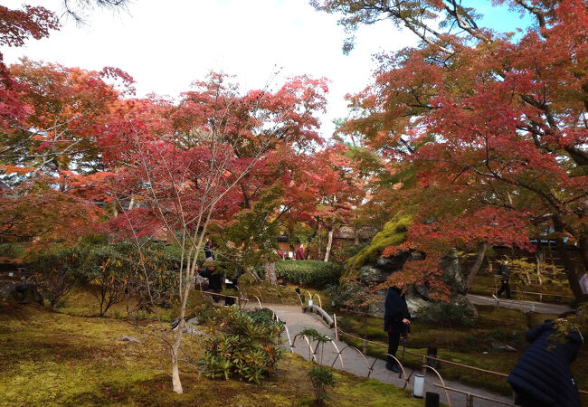 苔むした獅子岩と紅葉が綺麗です。