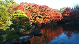 いろんな庭園を回遊できます