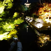 紅葉だけでなく、立体曼荼羅も必見です