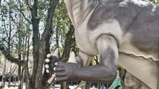 １日で回りきれない総合動植物公園