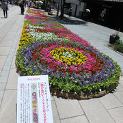 善光寺花回廊 ながの花フェスタ2025