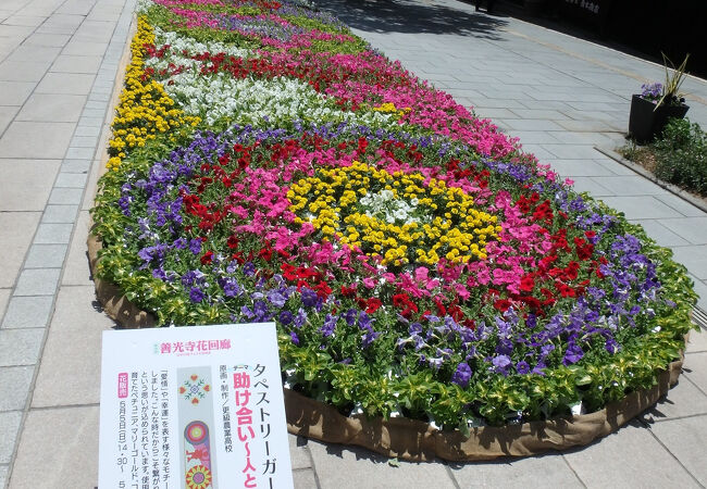 善光寺花回廊 ながの花フェスタ2025