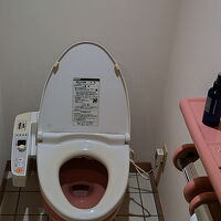 見かけない色の便器、消臭スプレーが有りました