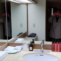 洗面台廻りは広かった。