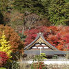 花の寺應聖寺へ