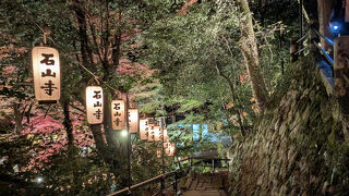 石山寺もみじライトアップ