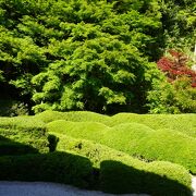 大池寺蓬莱庭園 クチコミ・アクセス・営業時間｜甲賀【フォー