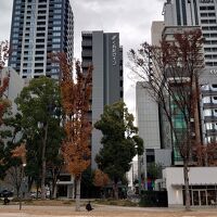 目の前に久屋大通パーク