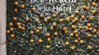 ベスト ウェスタン チェジュ ホテル