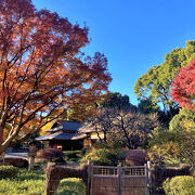 ヽ(*＾∀＾)ﾉ 2024年紅葉シーズンにあわせて『皇居乾通り』と『皇居東御苑（皇居附属庭園）』を一般公開☆彡