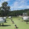 のんびり散策が楽しい