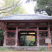 勝持寺（花の寺）