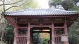 勝持寺（花の寺）