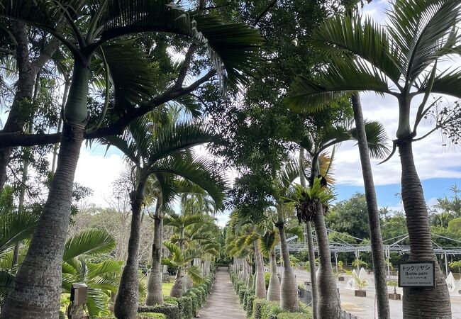 東南植物楽園