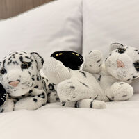 12階のトリプルルーム、写真のベッドとシングルでツイン