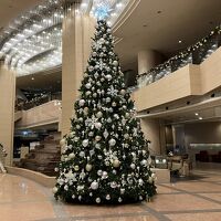 さすが12月、ロビーでは大きなツリーがお出迎え