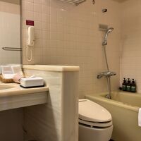 デザインは古いですが、客室との段差がなくてフラットなのは良し