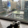 立地よし、思った以上に満足でした