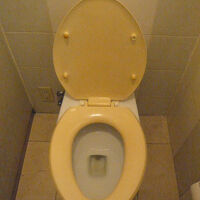 トイレが気になります。旧式で、色違いです。底が変色している