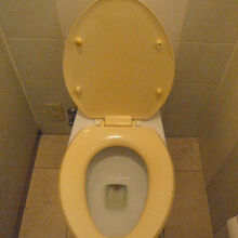 トイレが気になります。旧式で、色違いです。底が変色している