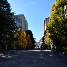 構内の風景