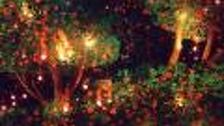 アルテミュージアム 江陵