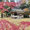 紅葉がお薦めの神社