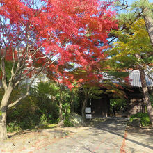 輪王寺の山門。山門前に停まるバスもあります。