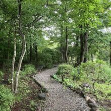 敷地内の散歩道