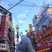 見てみたかったところです