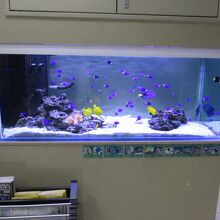 ホテルニュー奄美