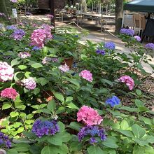 220x220_19833740.jpg?