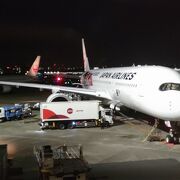 大谷ジェットが見れました