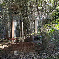 部屋がある建物は、円形で、その中心にある庭の風景です。