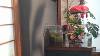 こふん前Cafe IROHA