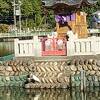 凄まじい 鯉の大群にびっくり