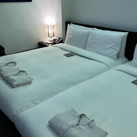 ラテックスファミリーツイン