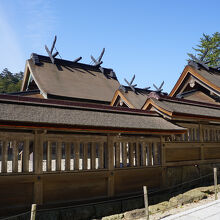 出雲大社御本殿