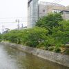 なかた美術館とセットかなと思います