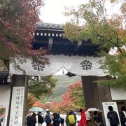 紅葉見るなら永観堂