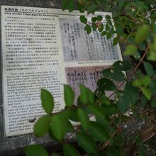 紙漉所跡