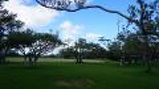 新都心公園