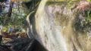 お手軽ハイキング