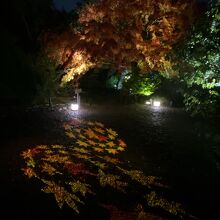 知恩院ライトアップ