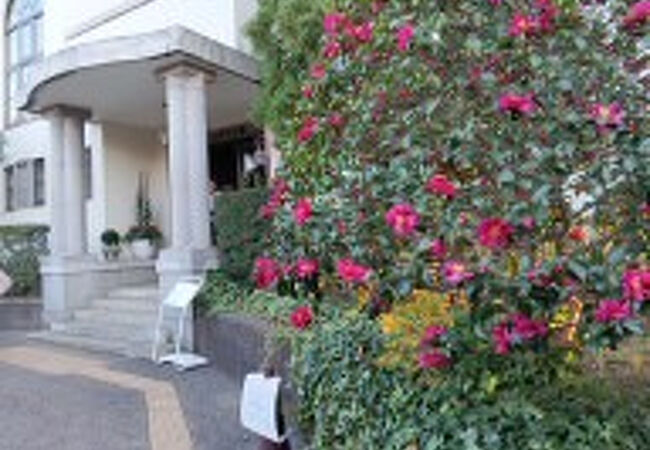 玄関に近づくと、赤い花で溢れる山茶花が色取り豊かでした。