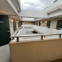 お空が見えます。