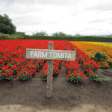 ファーム富田