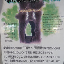 木の股くぐりの案内文です。